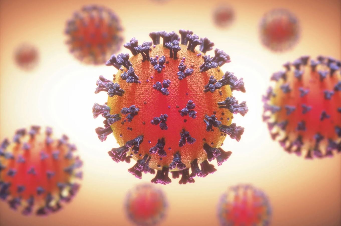 تصفیه خون و ترک اعتیاد: هر آنچه باید درباره این روش بدانید 1 ترک اعتیاد با تصفیه خون